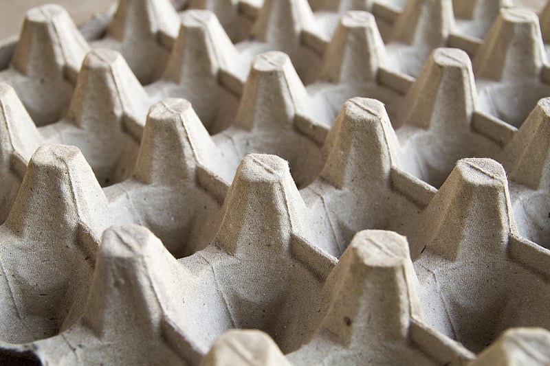 Egg Carton Flowers